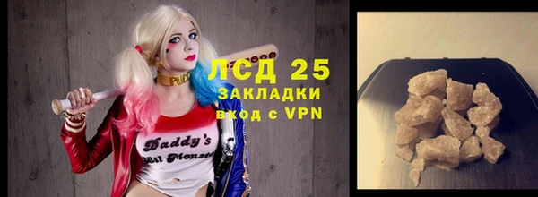 ГАЛЛЮЦИНОГЕННЫЕ ГРИБЫ Аркадак