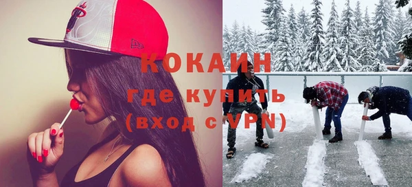 ГАЛЛЮЦИНОГЕННЫЕ ГРИБЫ Аркадак