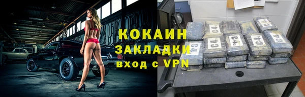 шишки Новодвинск