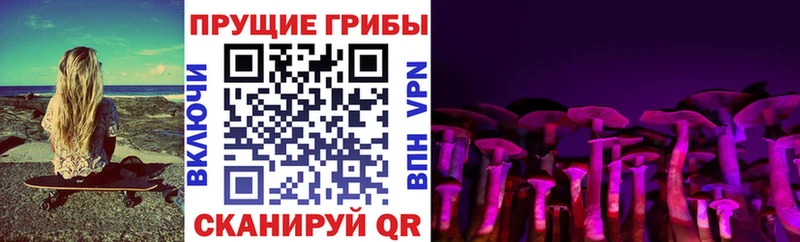 Псилоцибиновые грибы мицелий продажа наркотиков Поронайск